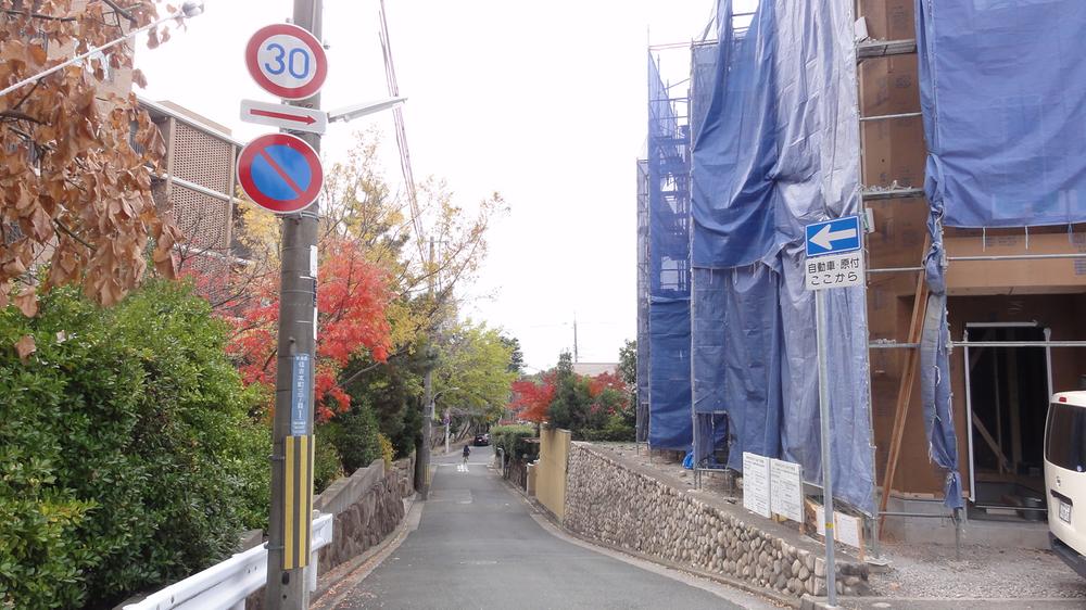 Local photos, including front road. Local (12 May 2013) Shooting. South road has become one step lower. 