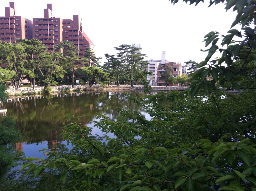 Other local. Fukada pond