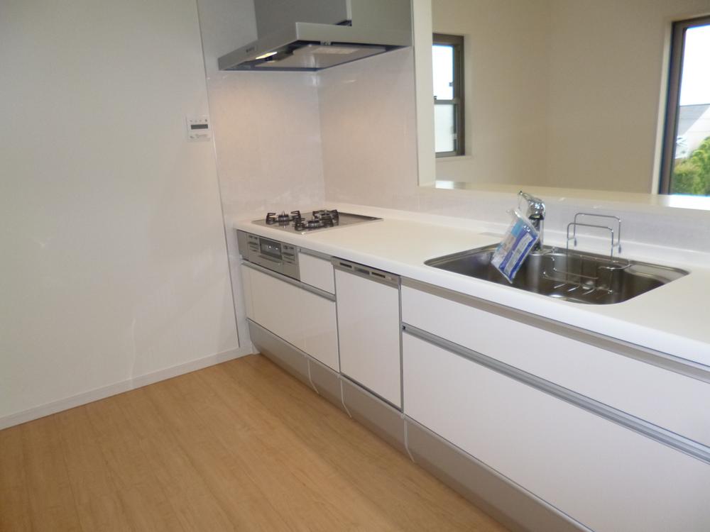 Kitchen. Indoor (12 May 2013) Shooting