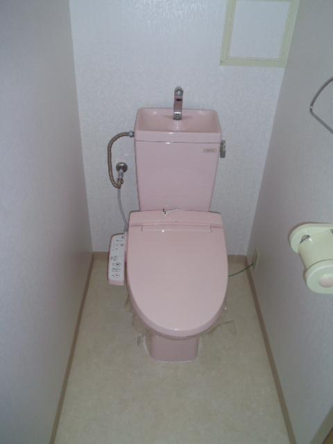 Toilet. Local (12 May 2013) Shooting
