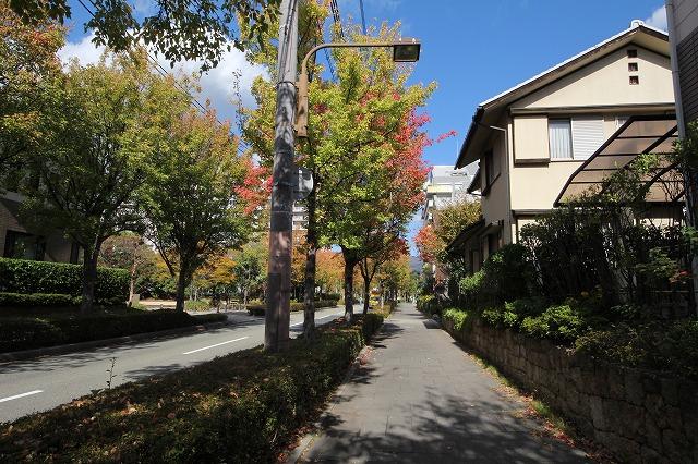Streets around