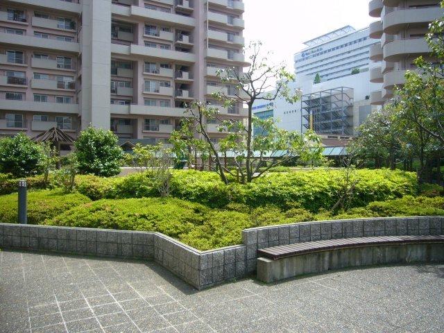 Other local. Center Court