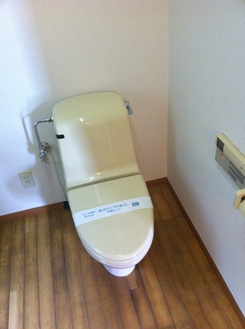 Toilet. Toilet