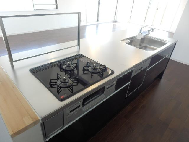 Kitchen. Indoor (12 May 2013) Shooting