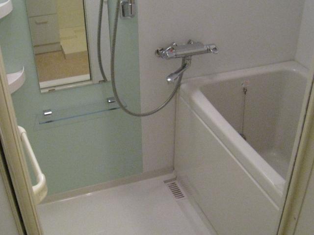 Bathroom. Indoor (10 May 2013) Shooting