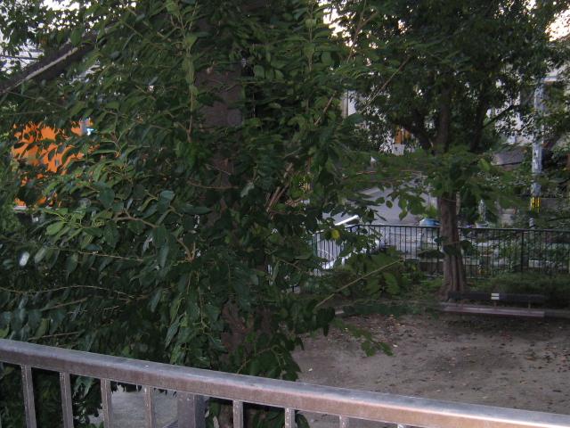 View photos from the dwelling unit. View from the site (October 2013) Shooting
