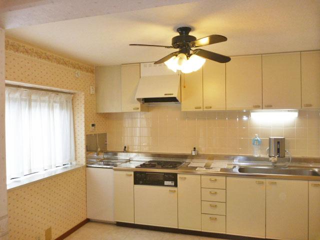 Kitchen. Indoor (10 May 2013) Shooting