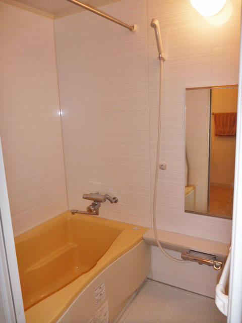 Bathroom. Indoor (10 May 2013) Shooting
