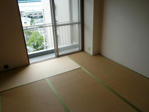 Other room space. Japanese style room