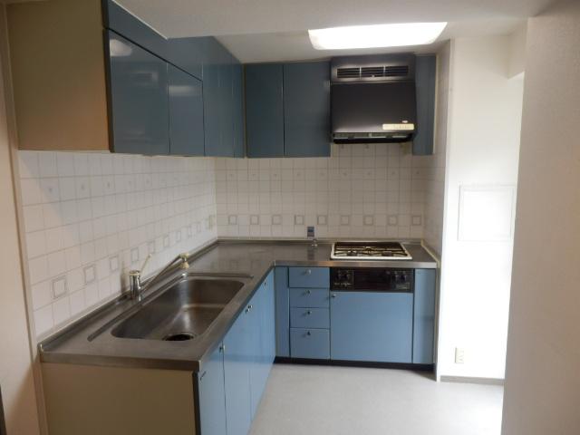 Kitchen. Indoor (June 2013) Shooting