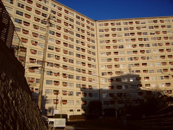 Local appearance photo. Built towering big is a large-scale apartment before