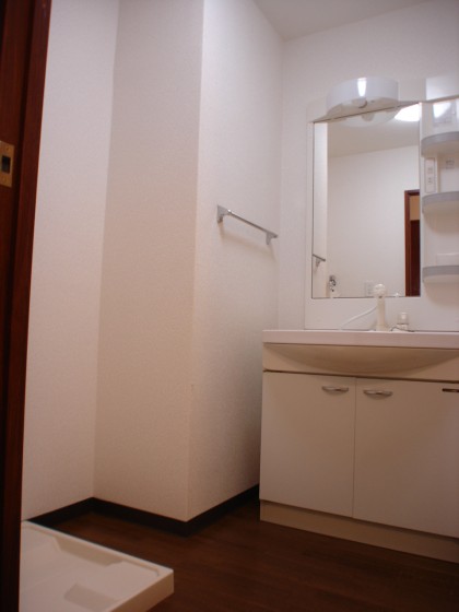 Washroom. Shampoo dresser with wash room