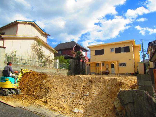 Local appearance photo. Local appearance (2013 September shooting)