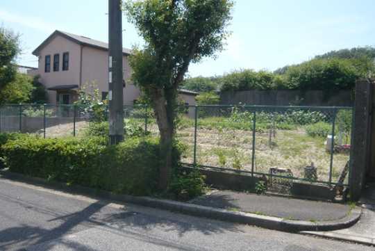 Local land photo. There land area 99.50 square meters. 