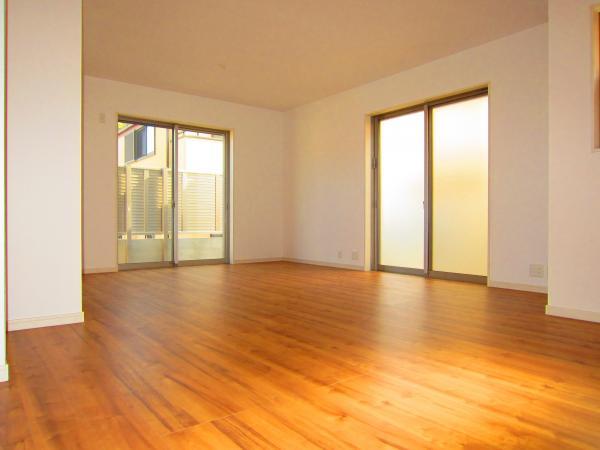 Living. Lighting is Masu insert the south-facing living room