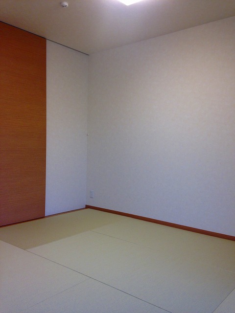 Other room space. Japanese style room