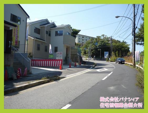 Local photos, including front road