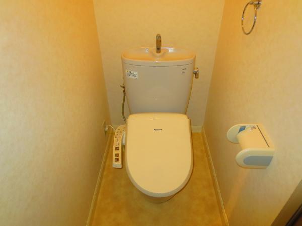 Toilet. It comes with a bidet.