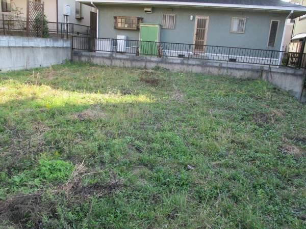Local land photo