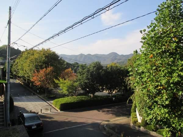 View photos from the local