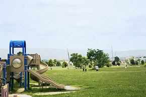 Other Environmental Photo. Jozu lawn Square and amusing playground equipment was 638m spacious until the park is popular with Child children and families. There is also a biotope and natural forests can be observed waterside of the nature up close, Me convey the excitement of the four seasons