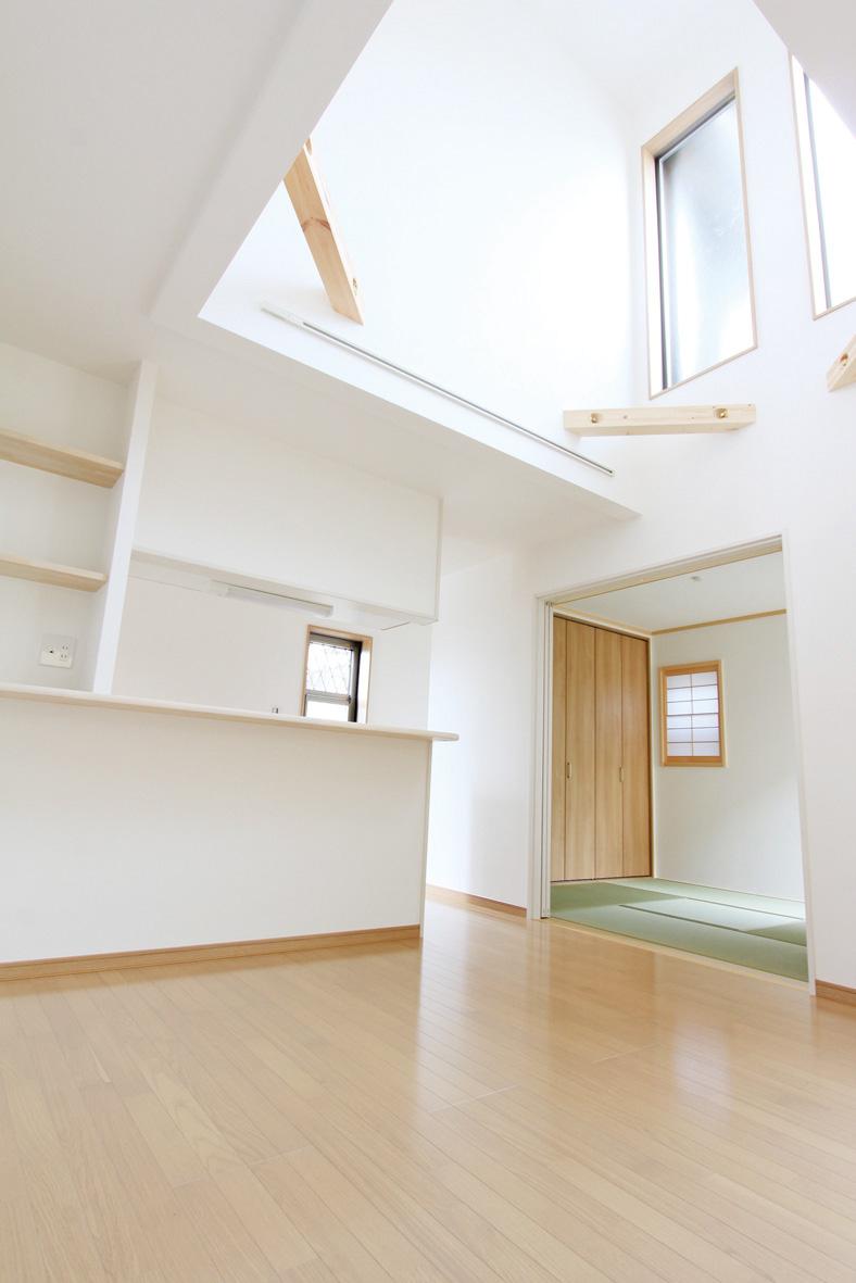 Other introspection. 2013 July 31 shooting (A No. land)