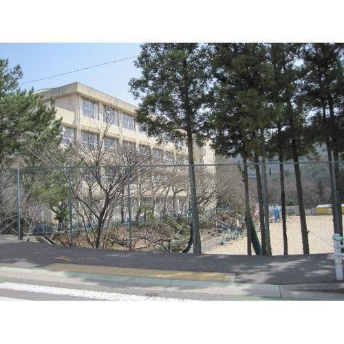 Primary school. Oike elementary school