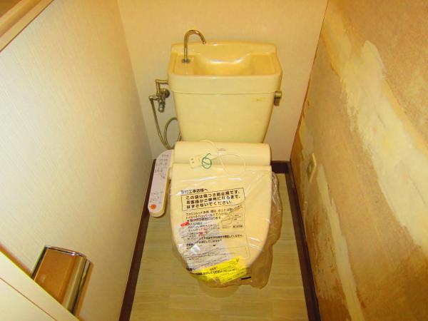 Toilet. Washlet toilet