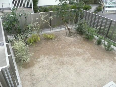 Garden. Local (11 May 2013) Shooting