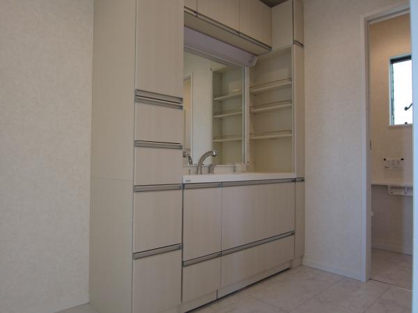 Wash basin, toilet. Wide vanity. 