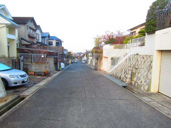 Local photos, including front road. Local front road photo [2013 December shooting] 