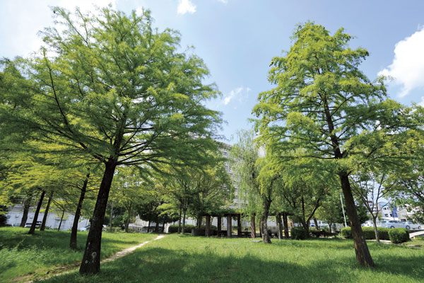 Surrounding environment. Hazaka park (3-minute walk ・ About 200m)