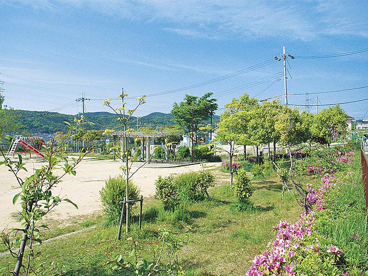 park. It is also installed playground equipment in Hikohachi park (in the town) large ground