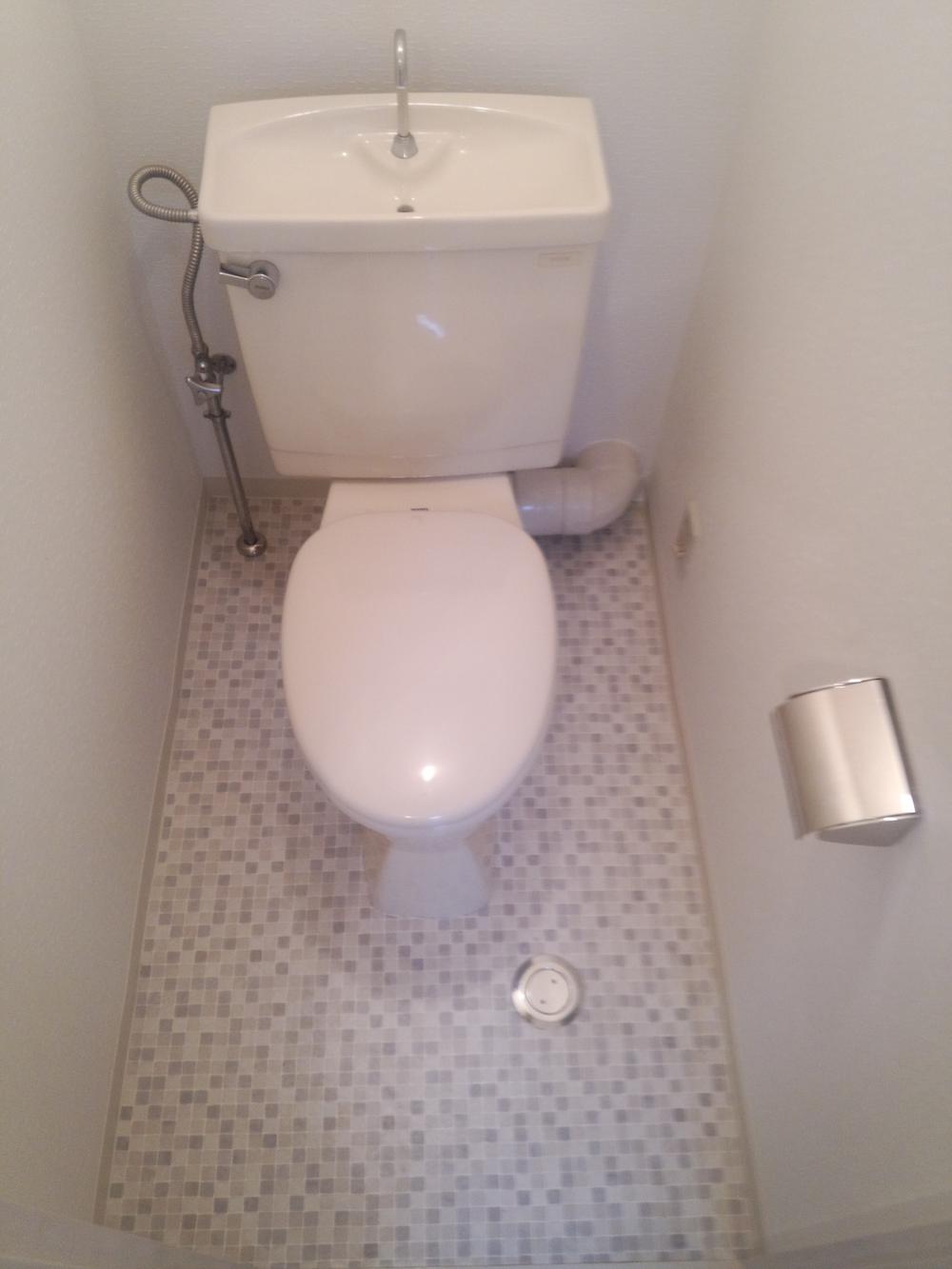 Same specifications photos (Other introspection). It is our example of construction toilet.