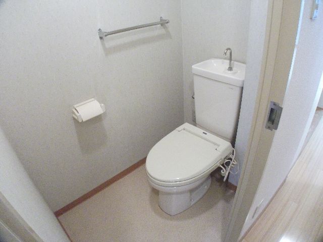 Toilet. Toilet