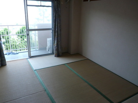 Other room space. Japanese style room