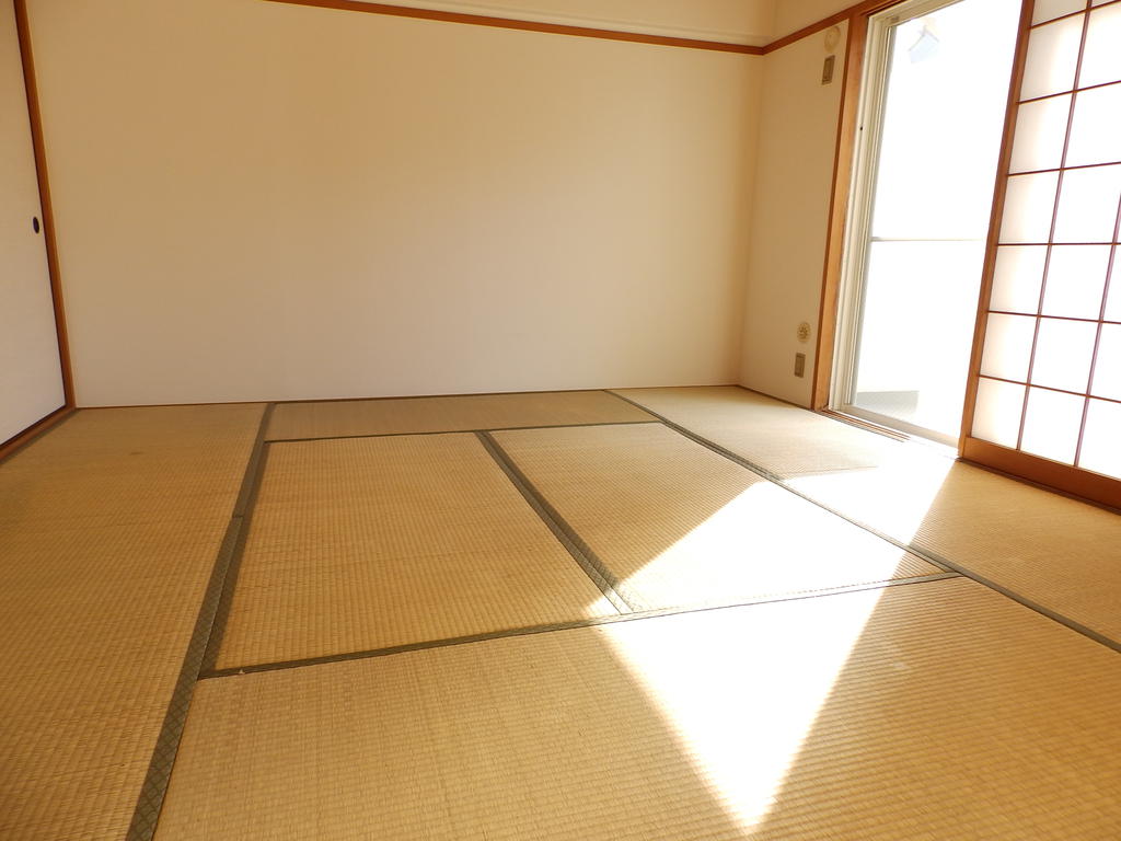 Other room space. Wider Japanese-style room