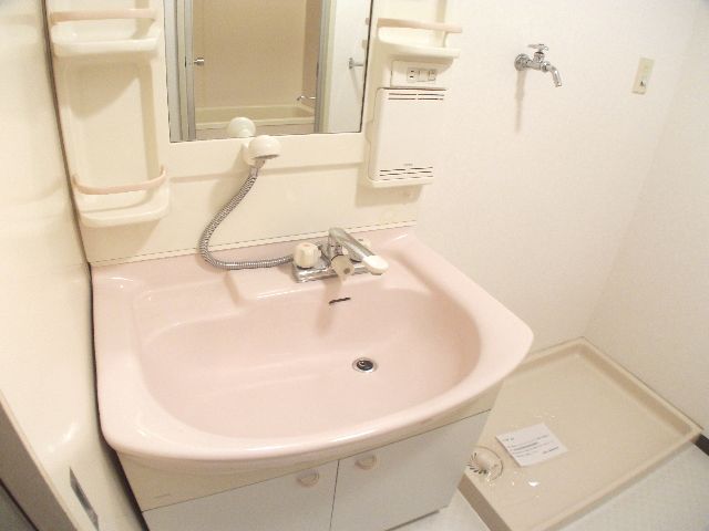 Washroom. Wash basin with a cute pink Shandore.