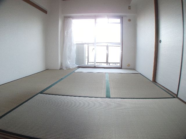 Other room space. Is a Japanese-style room facing south.