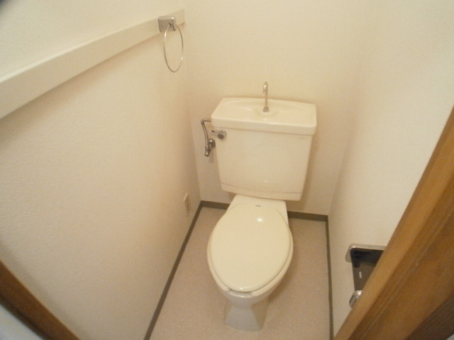 Toilet. Clean toilet