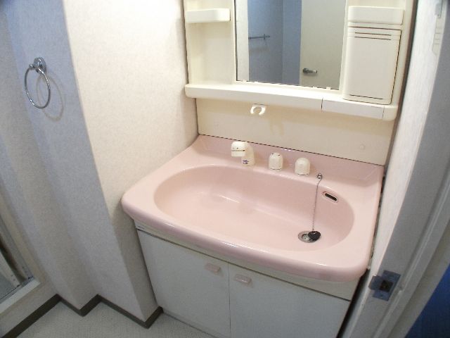 Washroom. Wash basin with a cute pink Shandore!