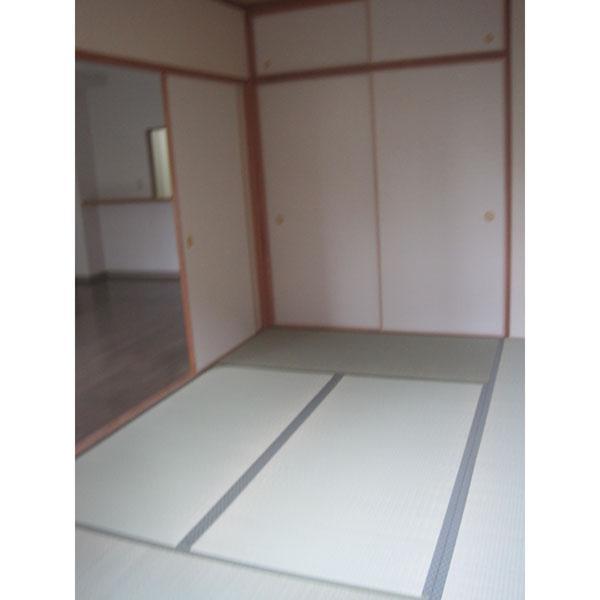 Other room space. Japanese style room