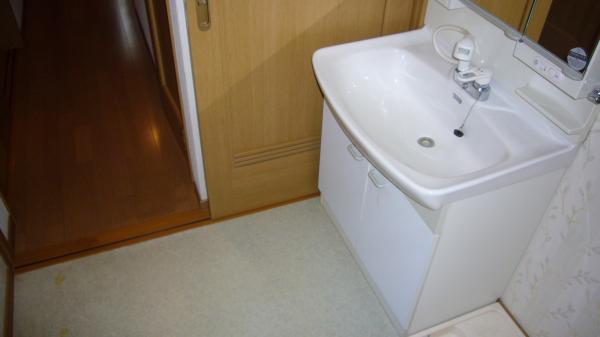 Wash basin, toilet. There is also a shower basin window