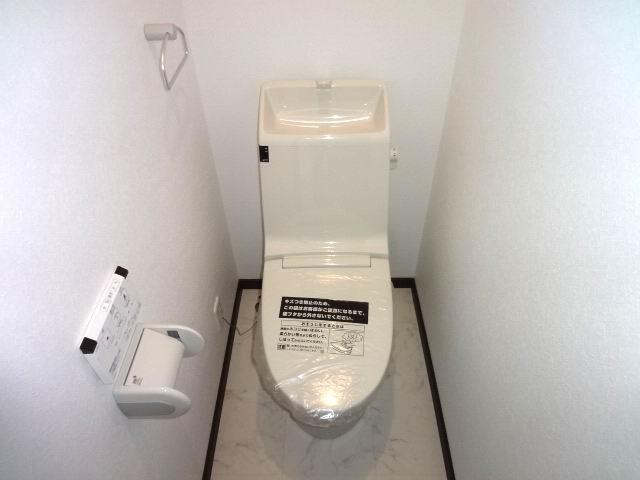 Toilet. First floor toilet. Shower toilet. 