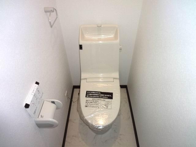 Toilet. First floor toilet. Shower toilet.