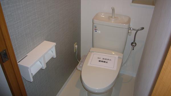 Toilet. There is also hot water cleaning toilet seat toilet shelf.