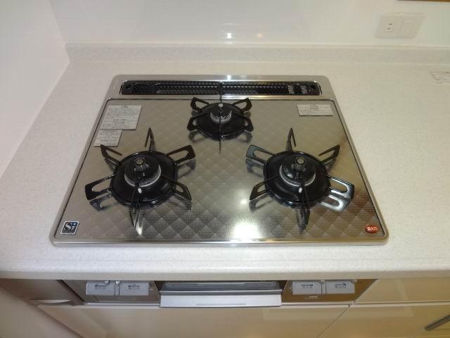 Other introspection. Gas stove with Si sensor. 