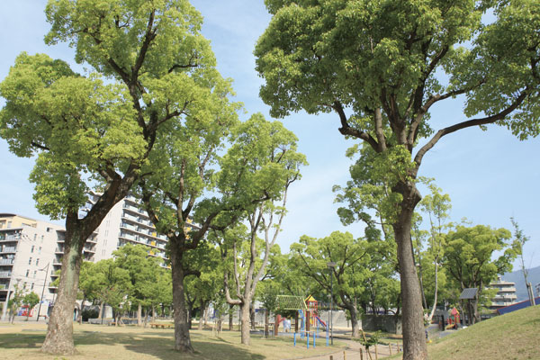 Surrounding environment. There is a huge monument of "Tetsujin 28", "Wakamatsu park". Chibikko Square and you can enjoy all together a big playground equipment There is also a family (a 5-minute walk ・ About 350m)