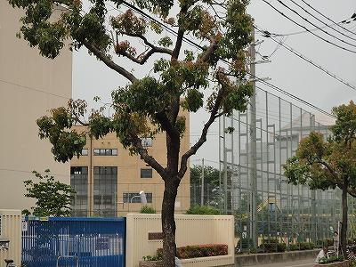 Primary school. 520m to Kobe Municipal Hasuike Elementary School