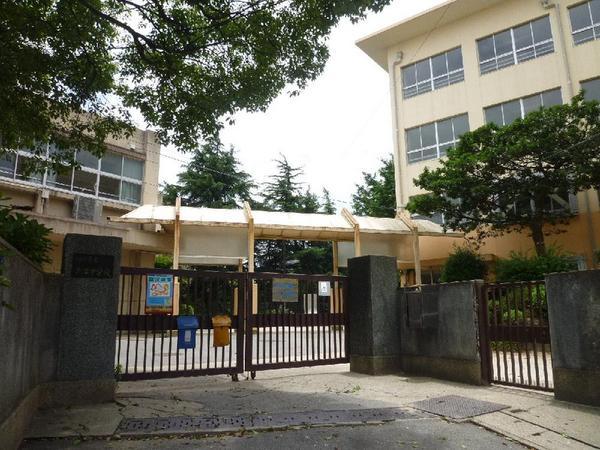 Junior high school. Tamatsu 902m until junior high school